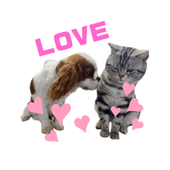 AKANE_20250604141633