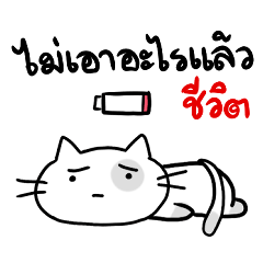 the cat go along