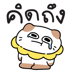 A restless little cat