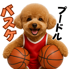Everyday Poodle Basketball