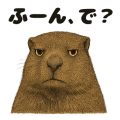 うざいマーモット