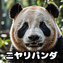 Feel-Good Panda Emotions! 40 Stickers