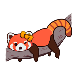 ハロー　レッサーパンダ