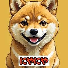 イヌのきもち40表情