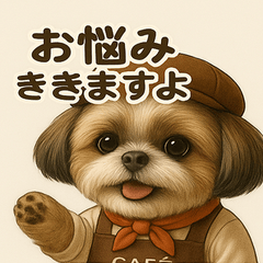 Shih Tzu Cafe Worker