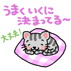 cat.A relaxing and soothing series