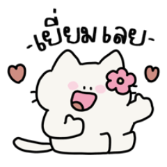 Cat cute cute*-*