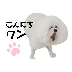 nonsyatyou_20250604192601