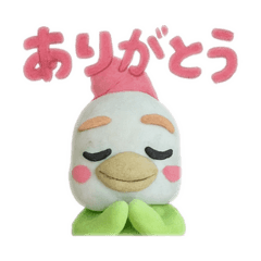 mipopo_20250604203212