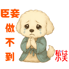 small_20250604210034