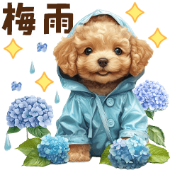 Rainy Mood Toy Poodle