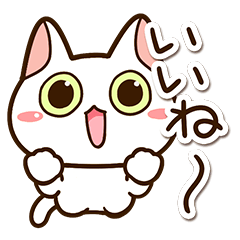 Kawaii Shiro Neko9