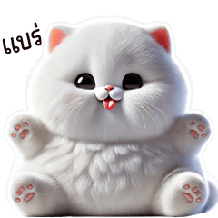 แมวอ้วนขาวน่ารัก
