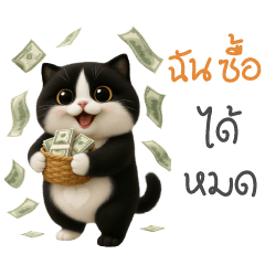 เหมียวดำ-เหมียวน่ารัก