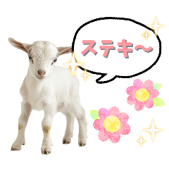 katochan_20250603115428