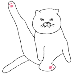 Lazy chonky cat Tofu