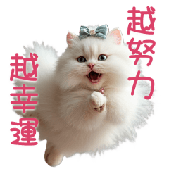 Pawsitive fat Cat's Daily Dose of Wisdom