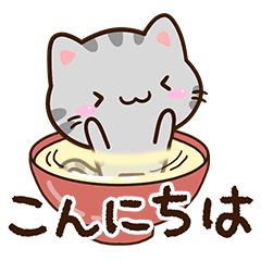 Small Cute American shorthair 51