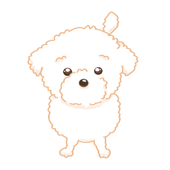 タフィ・ザ・チワプー1(白い犬の日常)