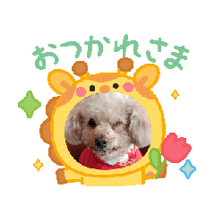 Riri_20250605184401