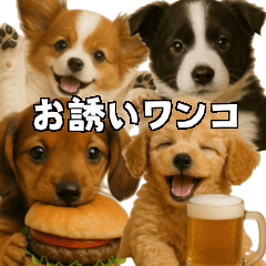 お誘いワンコ