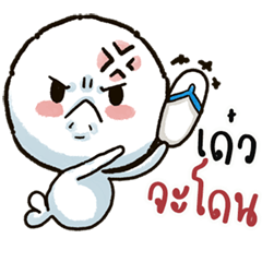 แมวน้ำหัวกลม