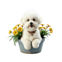 Mochi_20250605202109