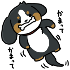 かまちょスタンプ(バーニー)