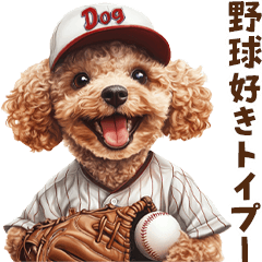 Baseball Days with Toy Poodle