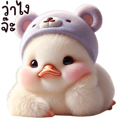 เป็ดน้อยมะหมี