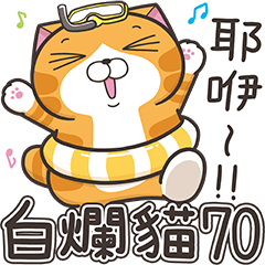 白爛貓70☆夏日祭☆