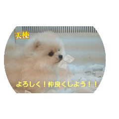yuto_20250605214803