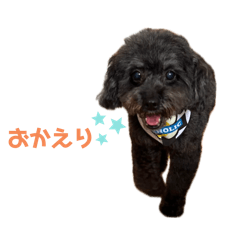 Marina_20250605225430