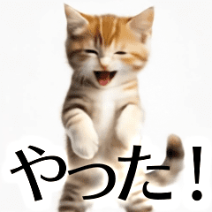 Cat that moves anyway