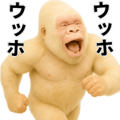 Big white gorilla
