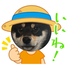 Miyu_20250606185851