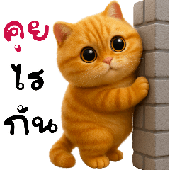 ส้มสีแมวตัวตึง(บิ๊ก)