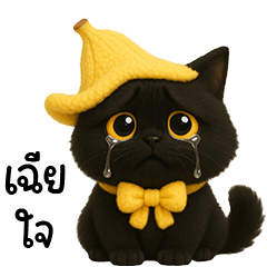 แมวดำหมวกกล้วยน่ารัก