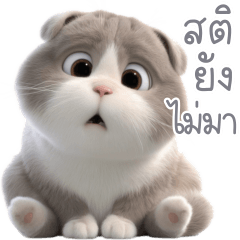 ถ้วยฟู แมวอ้วนขนฟูน่ารัก 1_48
