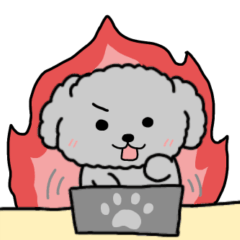 黒プードルのお仕事