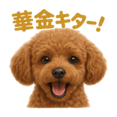 MINA_20250606173611 – LINE stickers | LINE STORE