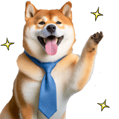 Dad's Shiba Inu
