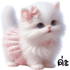 แมวขาวสายหวานหวาน