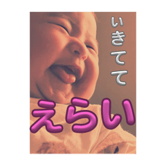 ずーぼーの大冒険