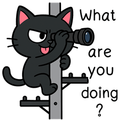 DumDum Funny Cat (ENG)