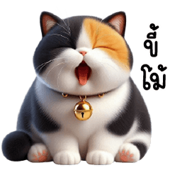 แมวอ้วนสามสีตากลม ตัวตึง