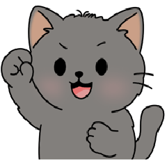 Small grey cat