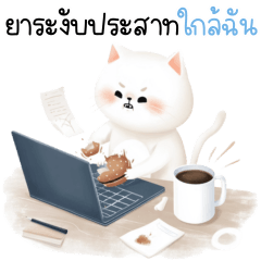 ชาลี แมวใกล้ฉัน 1_52