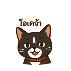 phapanploy_20250607190548