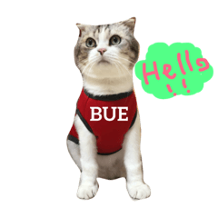 Super Cute Bue Bue